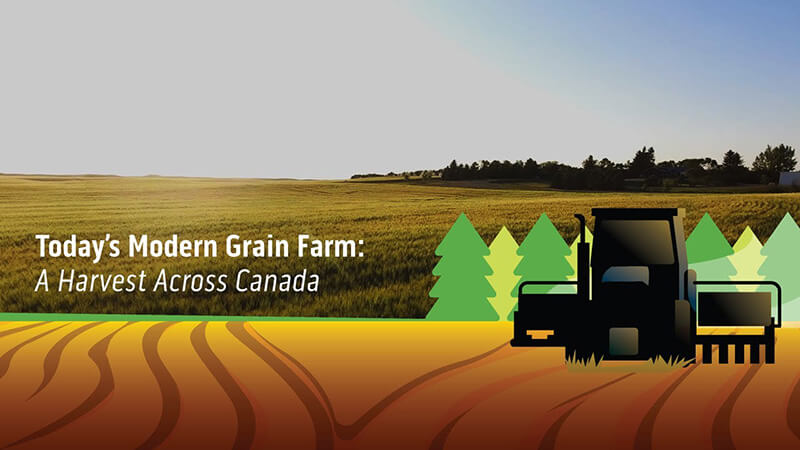 Video:A Harvest Across Canada